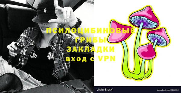 молекула духа Армянск