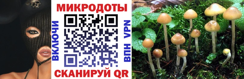 Псилоцибиновые грибы Magic Shrooms  ссылка на мегу сайт  Семёнов 